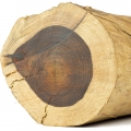 Gỗ Hồng (Rosewood)